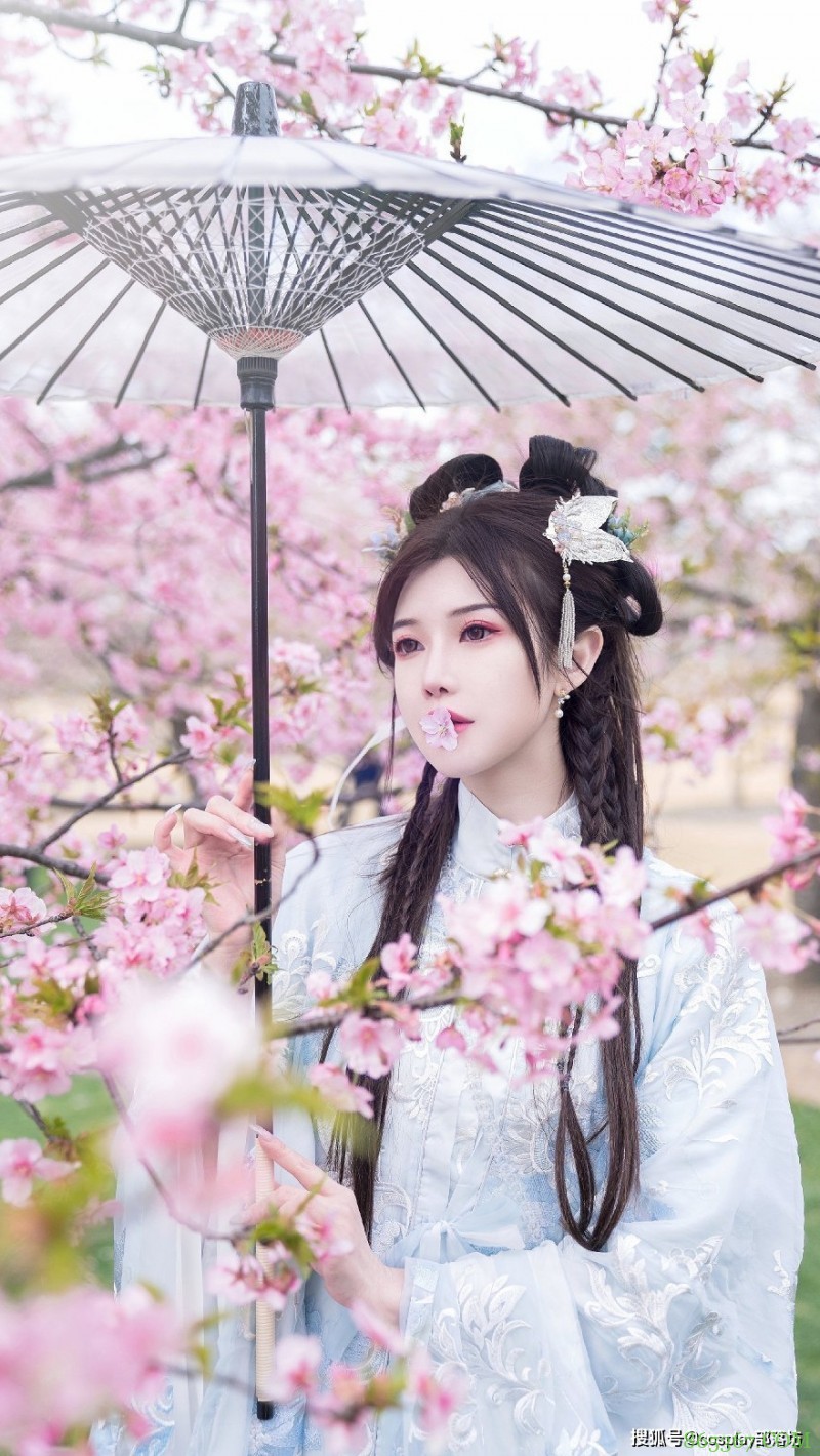 汉服：拍个早樱 头差点被风带走