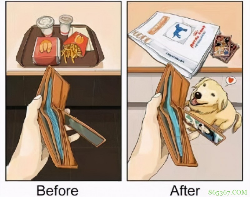 画师大佬分享养狗前后的区别，钱包越来越薄，惨遭狗子“拆家”