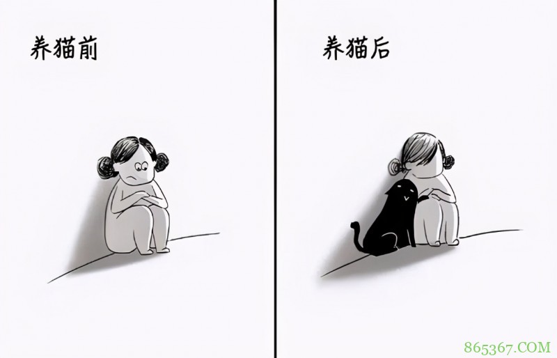 网友分享养猫前后的区别,感觉多了一位主子?痛并快乐着!