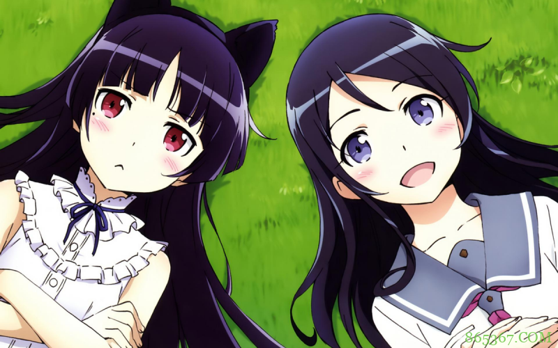 关于猫娘的那些趣事：猫娘有几只耳朵？猫娘和猫耳娘有什么区别？