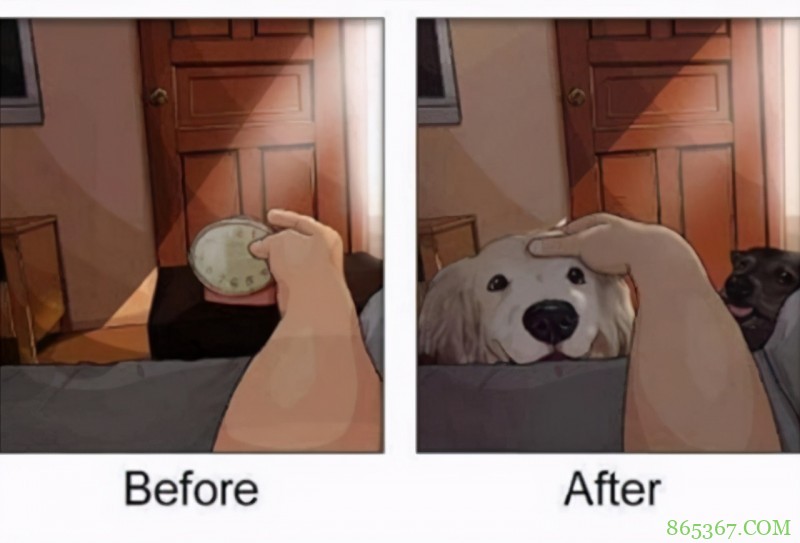 画师大佬分享养狗前后的区别，钱包越来越薄，惨遭狗子“拆家”