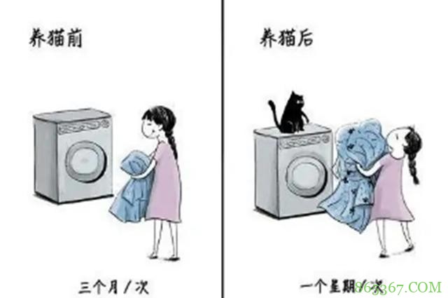 网友分享养猫前后的区别,感觉多了一位主子?痛并快乐着!