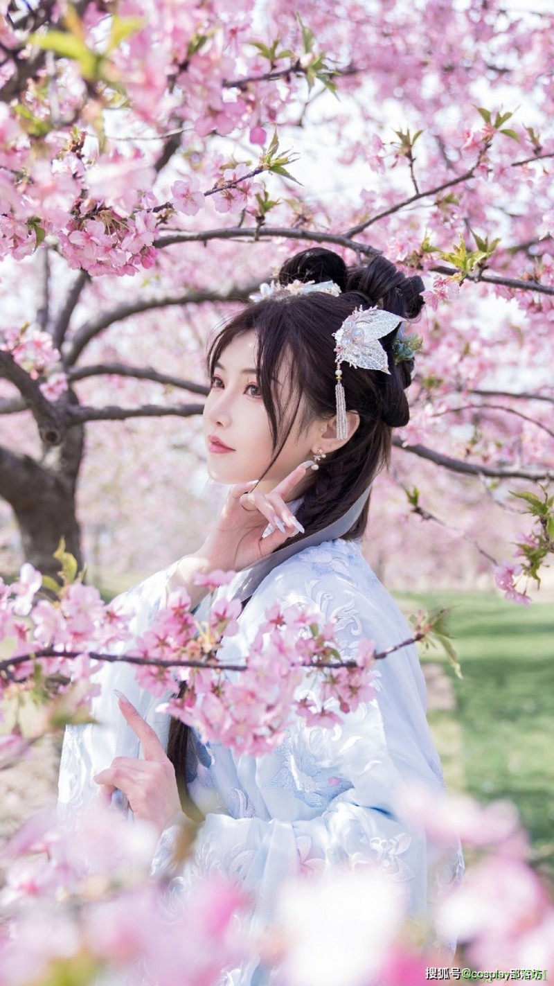 汉服：拍个早樱 头差点被风带走