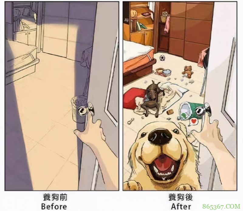 画师大佬分享养狗前后的区别，钱包越来越薄，惨遭狗子“拆家”