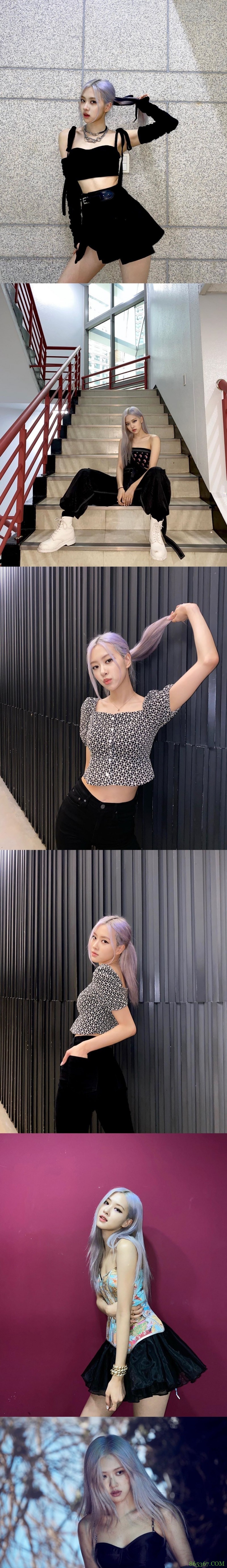 Roses are rosie / 朴彩英 ​​​​