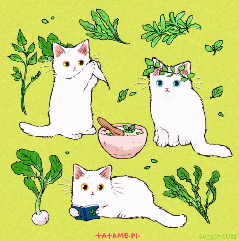 看多了猫耳娘，看看画师笔下的猫猫也挺好，多么可爱的生物啊