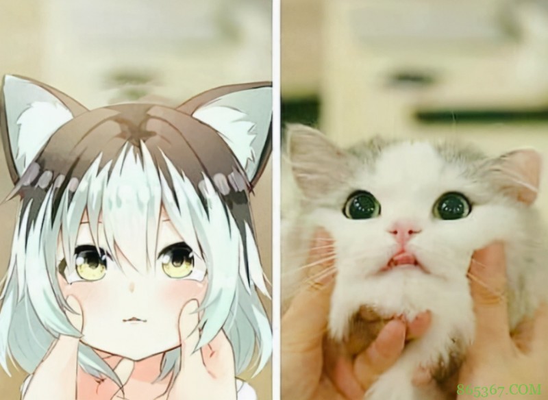 网友分享了一组“碧眼+猫耳+超短女仆装”的图,点进去发现上当了