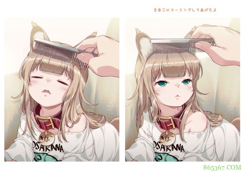 糟糕，40原老师最近都没咋画猫耳娘，而是专心晒猫了！