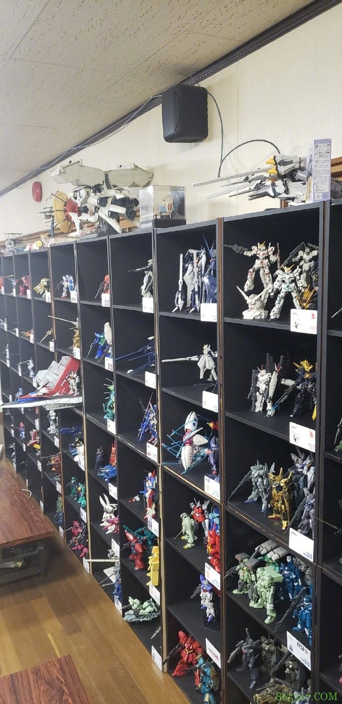 高达爱好者分享收藏，花20年做了1600个模型，密集恐惧慎点