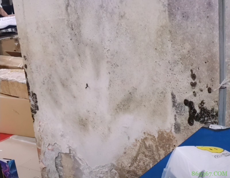 无良漫展太坑爹，停车场里办展览，垃圾堆边做签售，熊祁都被骗了