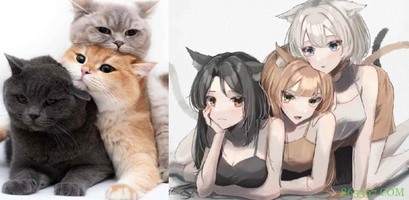 猫咪变姐妹，二哈变御姐，这二次元遇到三次元，还是二次元好啊