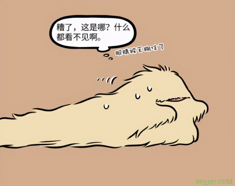 非人哉:杨戬原来是终极福瑞控?梦想是自己也变成毛茸茸