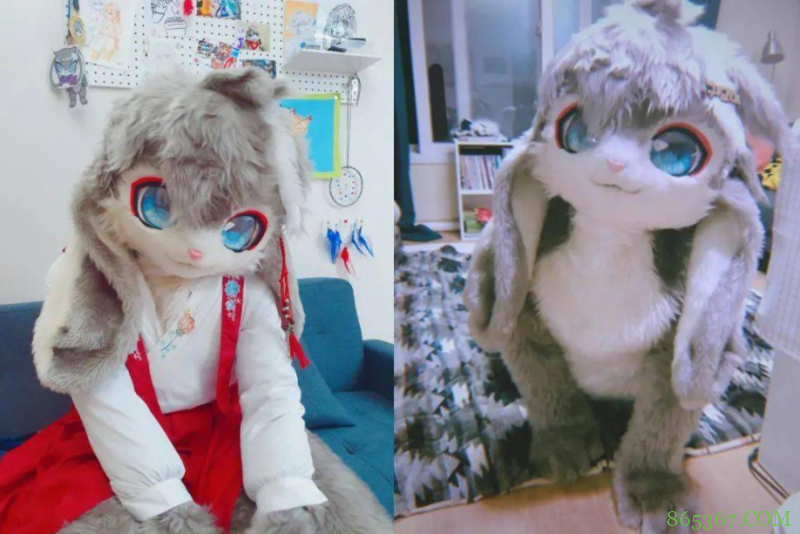 非人哉:杨戬原来是终极福瑞控?梦想是自己也变成毛茸茸