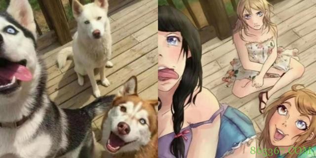 猫咪变姐妹，二哈变御姐，这二次元遇到三次元，还是二次元好啊