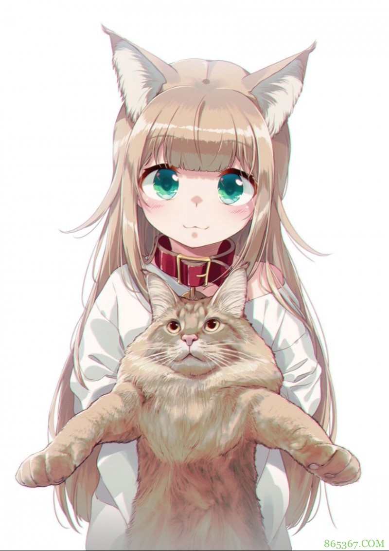 糟糕，40原老师最近都没咋画猫耳娘，而是专心晒猫了！