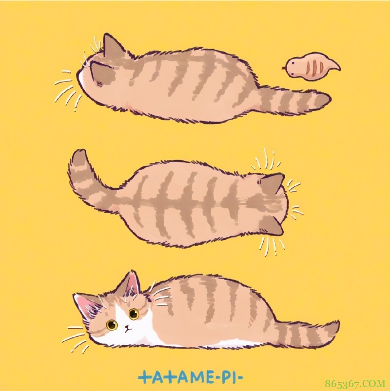 看多了猫耳娘，看看画师笔下的猫猫也挺好，多么可爱的生物啊