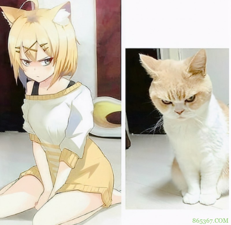 网友分享了一组“碧眼+猫耳+超短女仆装”的图,点进去发现上当了