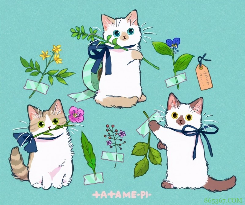 看多了猫耳娘，看看画师笔下的猫猫也挺好，多么可爱的生物啊