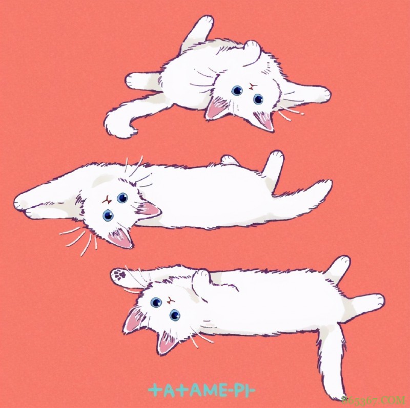 看多了猫耳娘，看看画师笔下的猫猫也挺好，多么可爱的生物啊