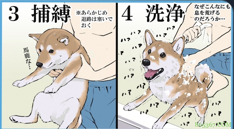 日本画师分享给狗狗洗澡的全过程，各种逃跑可太真实了