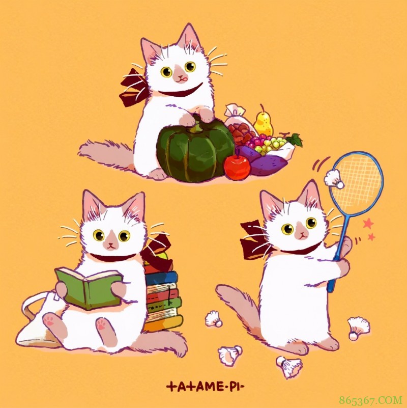 看多了猫耳娘，看看画师笔下的猫猫也挺好，多么可爱的生物啊