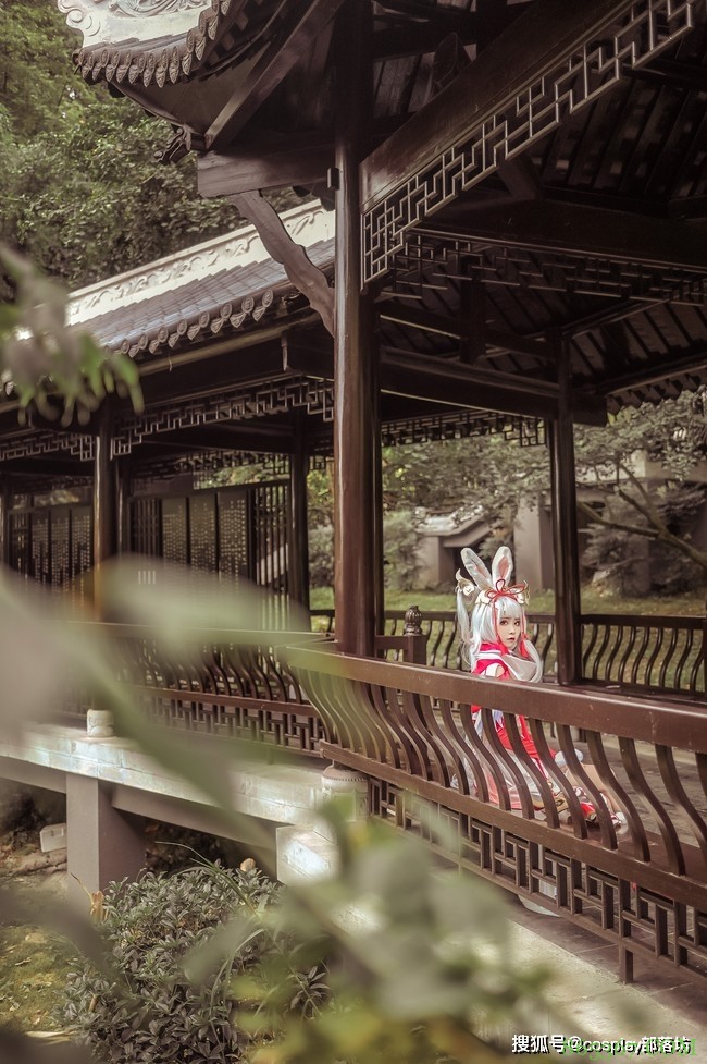 cos：王者荣耀公孙离祈雪灵祝cos正片@胤狐青火