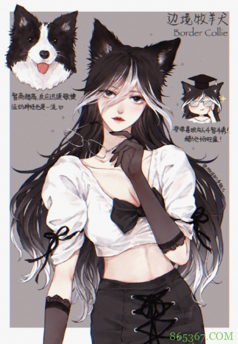 狗狗化身动漫美少女，萨摩变成白毛御姐，短腿柯基好俏皮