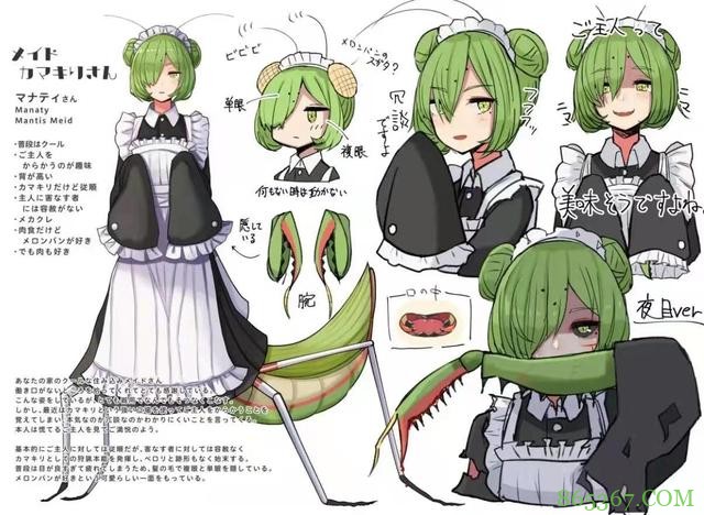 昆虫拟人之后太好看了，螳螂蜜蜂都变成萌妹子了