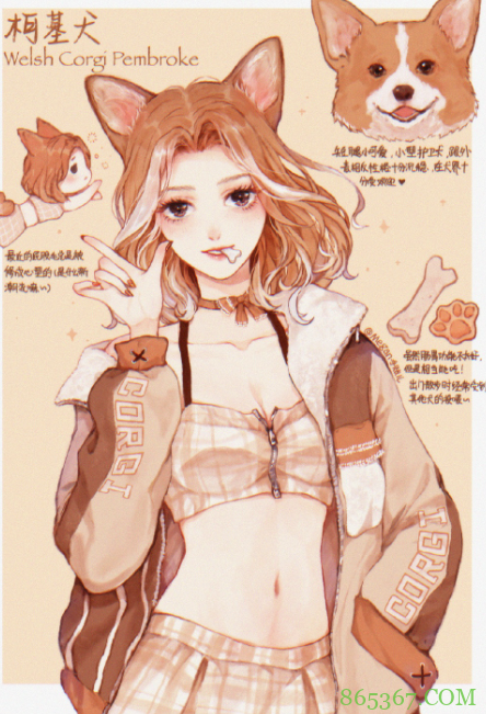 狗狗化身动漫美少女，萨摩变成白毛御姐，短腿柯基好俏皮