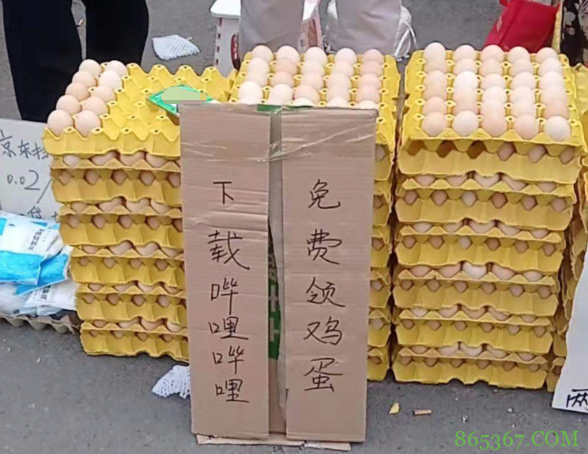 小破站盯上大爷大妈？下载APP送鸡蛋，网友吐槽：快进到砍一刀