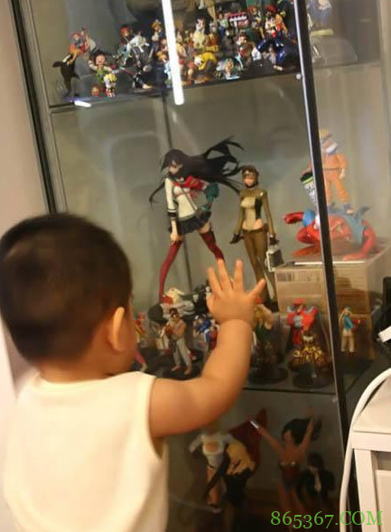 网友分享让手办爱好者心脏骤停的瞬间，比起小朋友，猫咪更可怕