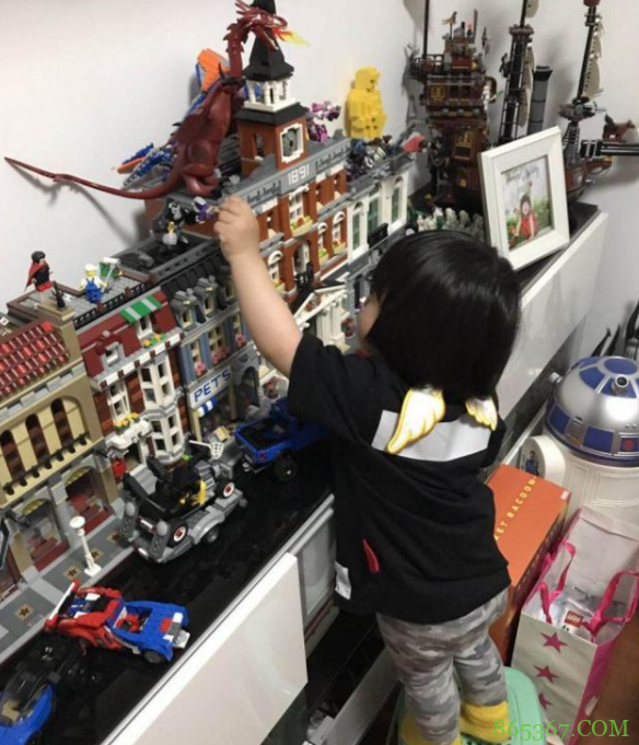 网友分享让手办爱好者心脏骤停的瞬间，比起小朋友，猫咪更可怕