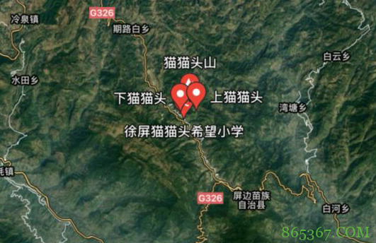 猫猫头山突然火了？果然大家都是爱猫猫的，快给我变！