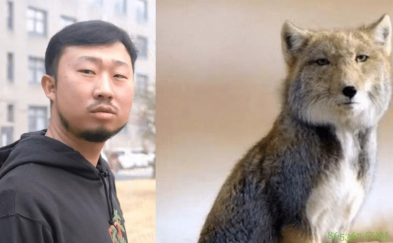 比起回形针，这几位B站知识区UP主那真能学到知识