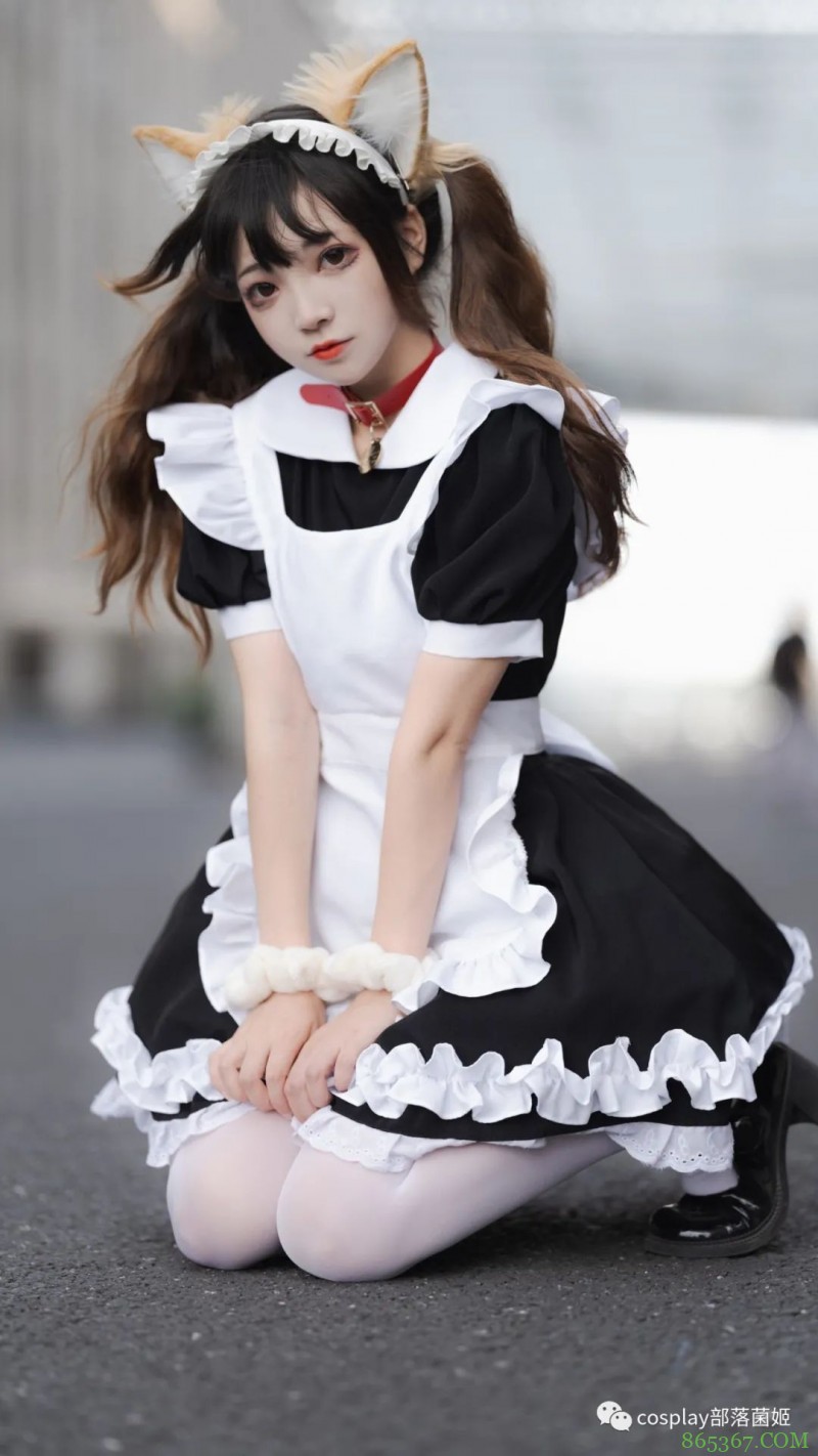 女仆猫猫：不能绑架如此可爱的猫咪