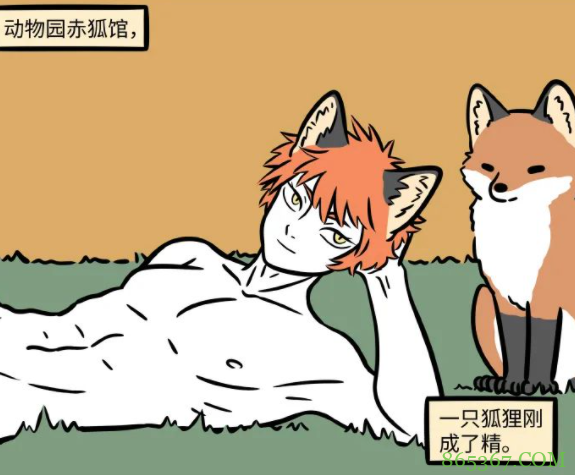 非人哉又有新角色!是一只现代狐狸成的精,或许会和九月发生点啥