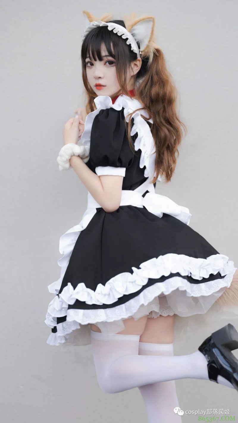 女仆猫猫：不能绑架如此可爱的猫咪