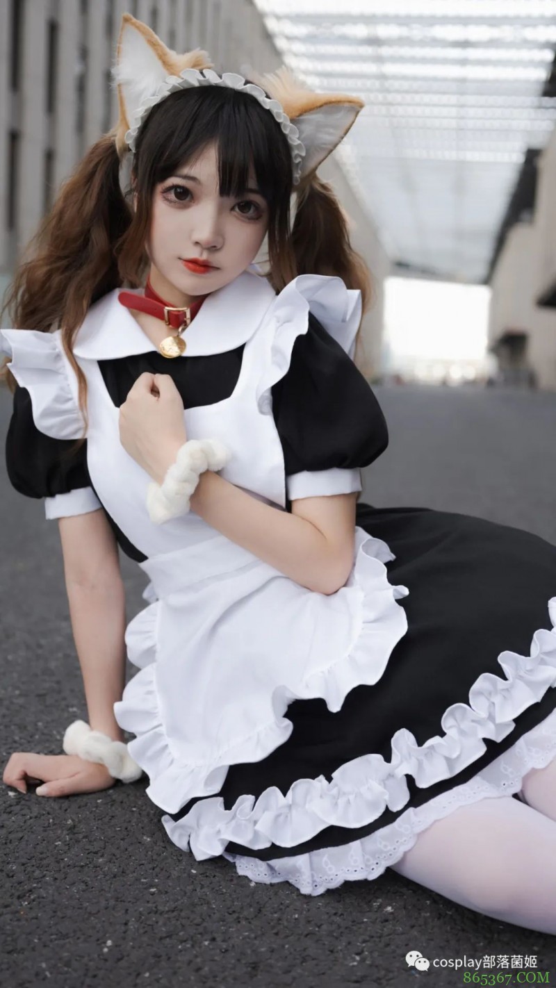 女仆猫猫：不能绑架如此可爱的猫咪