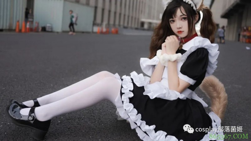 女仆猫猫：不能绑架如此可爱的猫咪