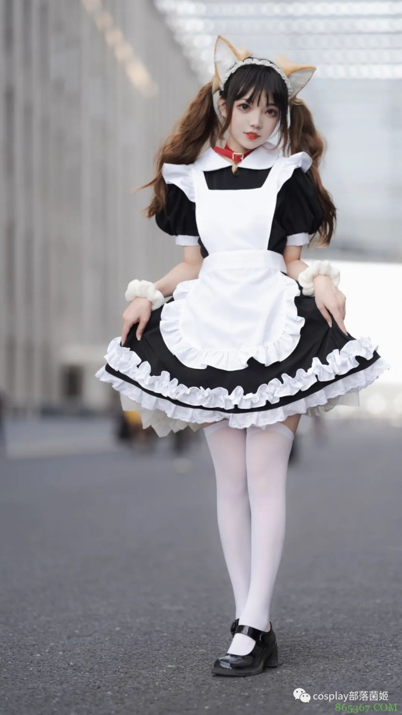 女仆猫猫：不能绑架如此可爱的猫咪