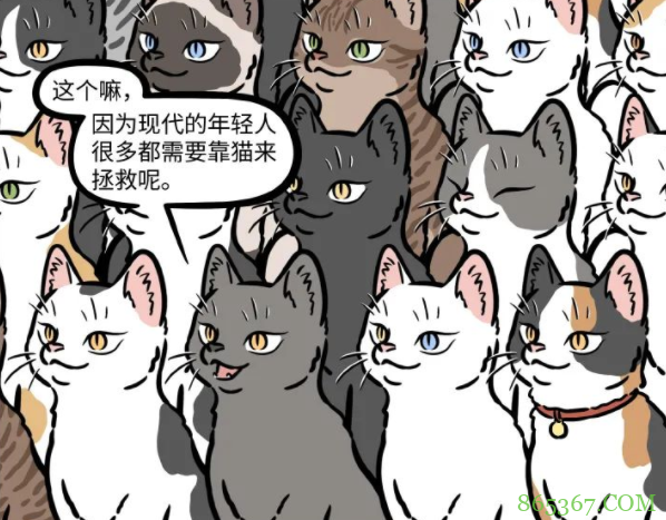 非人哉：大士最爱的动物是马，却喜欢变成猫，被杨戬看到了还得了