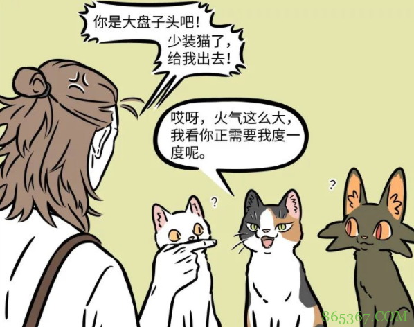 非人哉：大士变成猫混进杨戬的咖啡馆！为何一眼就被看穿本体？