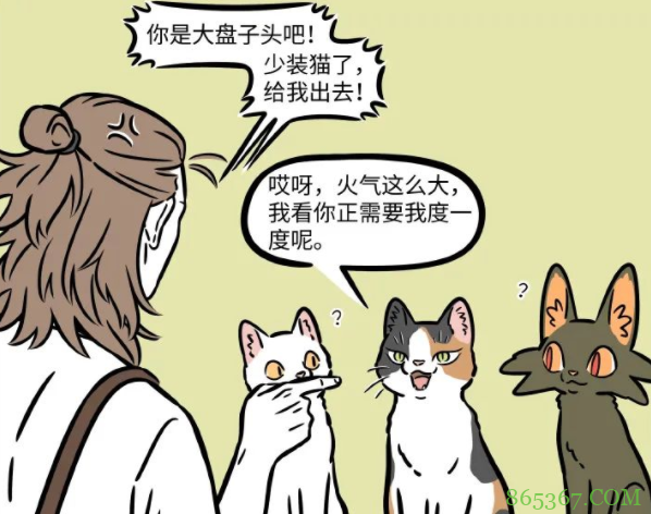 非人哉:大士变成猫混进杨戬的咖啡馆!为何一眼就被看穿本体?