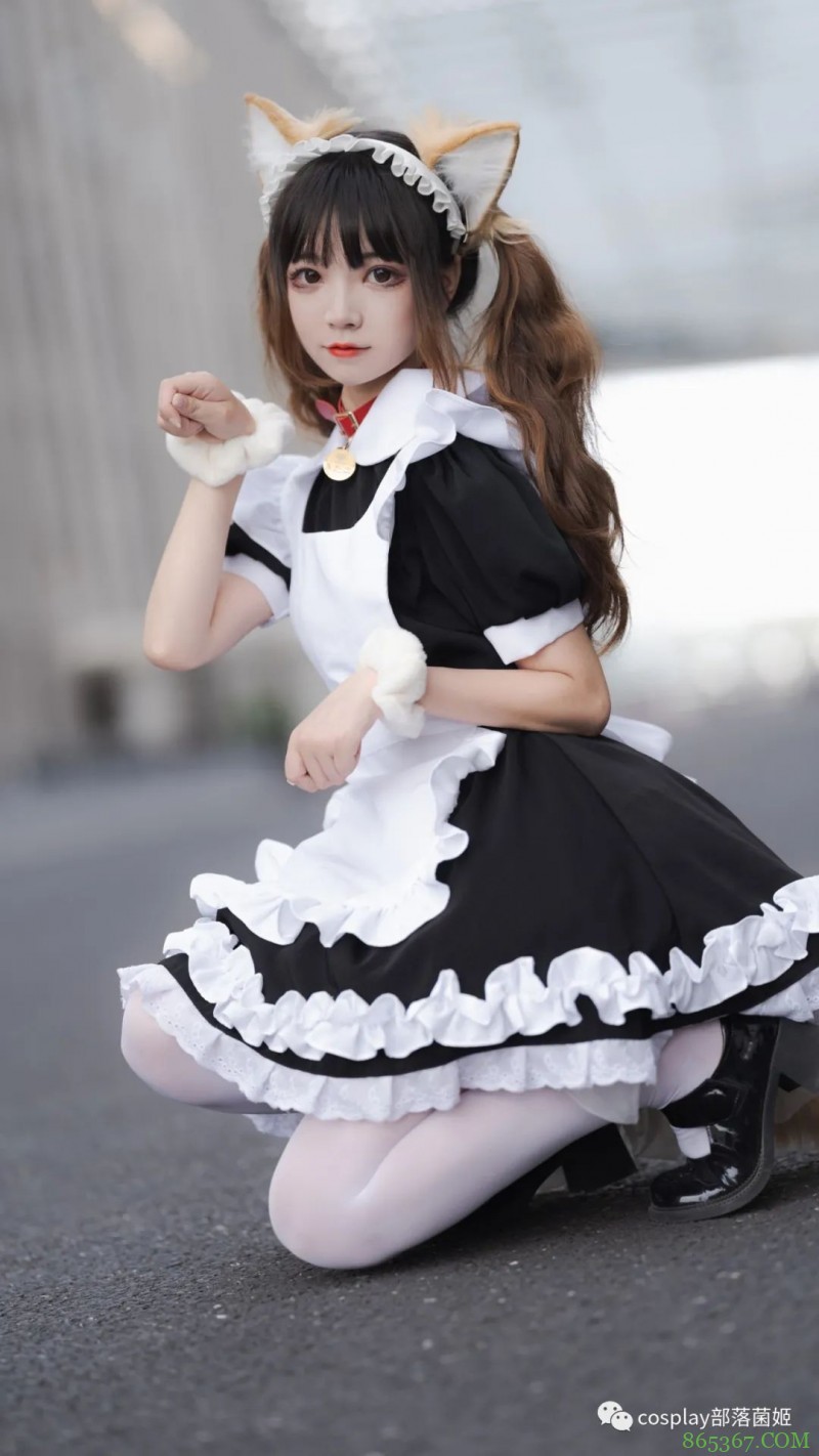 女仆猫猫：不能绑架如此可爱的猫咪