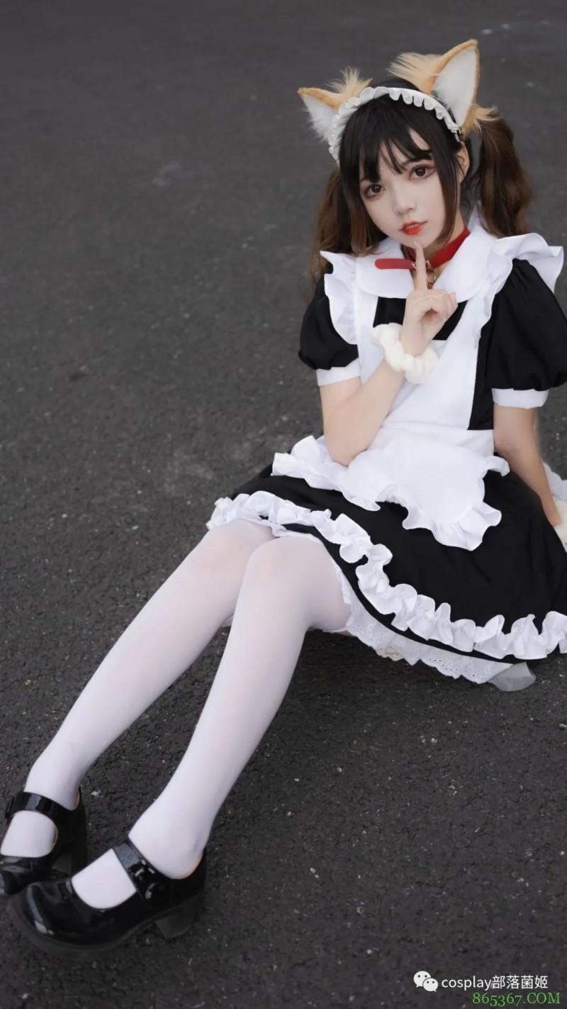 女仆猫猫：不能绑架如此可爱的猫咪