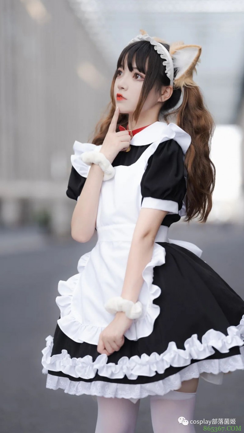 女仆猫猫：不能绑架如此可爱的猫咪