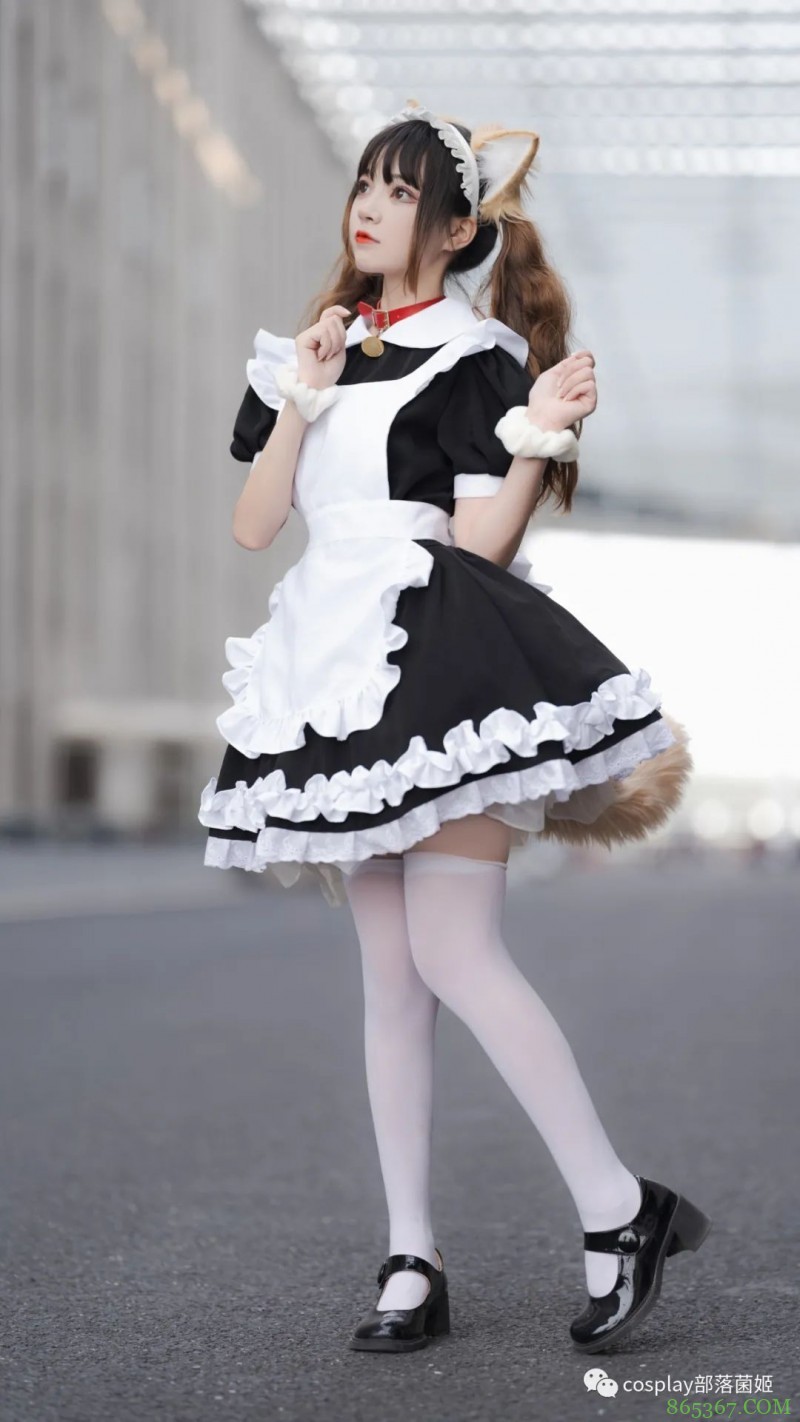 女仆猫猫：不能绑架如此可爱的猫咪