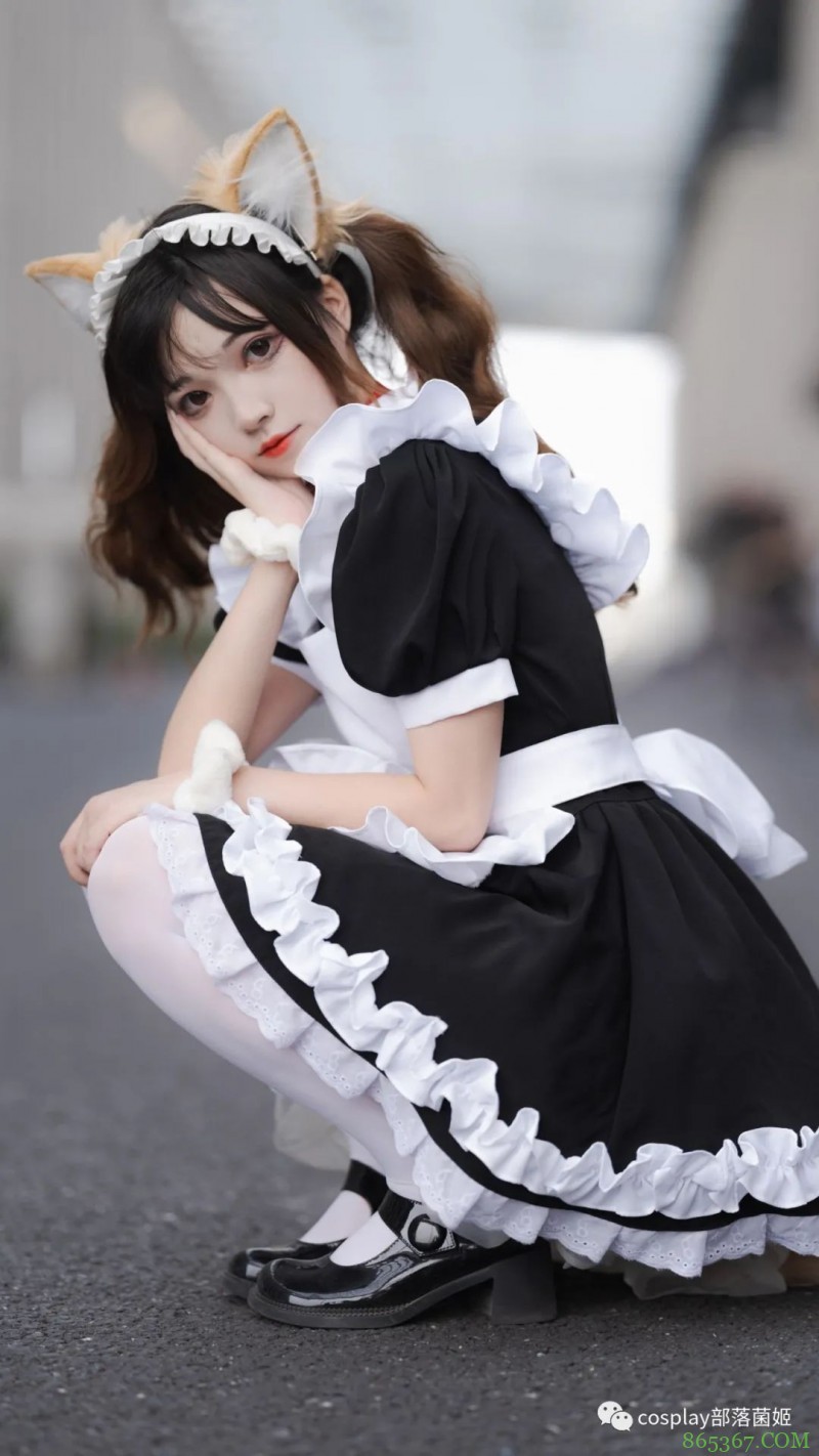 女仆猫猫：不能绑架如此可爱的猫咪