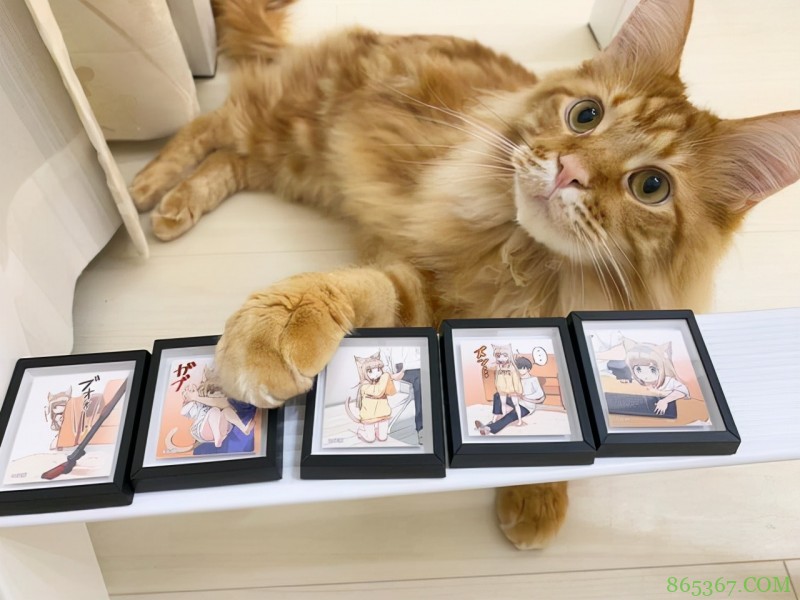 40原又把自家猫咪画成萝莉了,网友都在吐槽:照片咋拍下来的