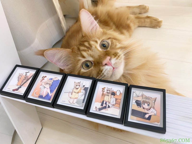 40原又把自家猫咪画成萝莉了,网友都在吐槽:照片咋拍下来的